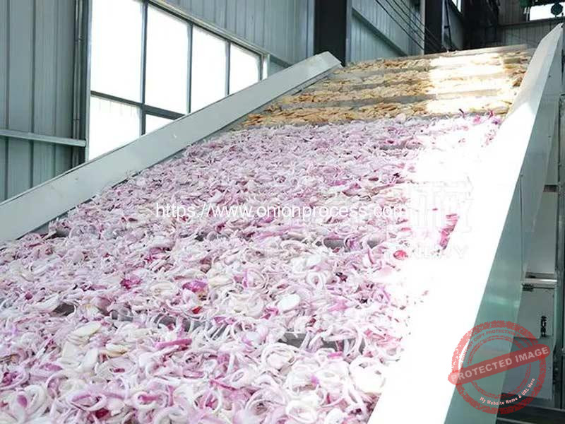 Multi-Layer-Belt-Onion-Slice-Dryer-Machine